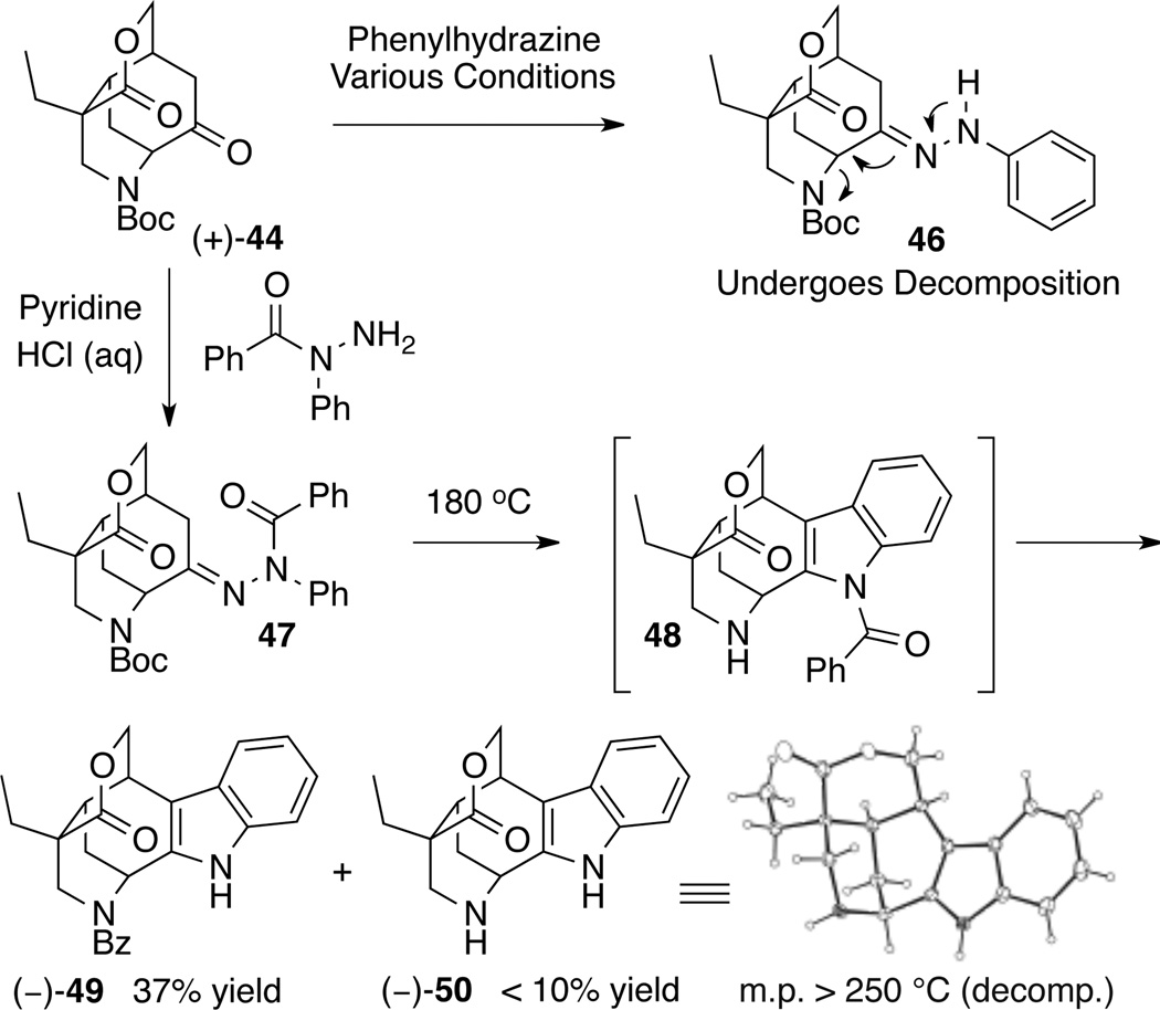 Scheme 5