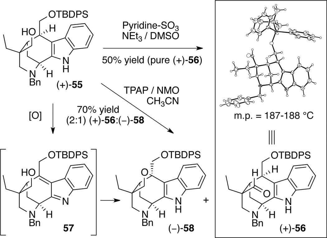 Scheme 9