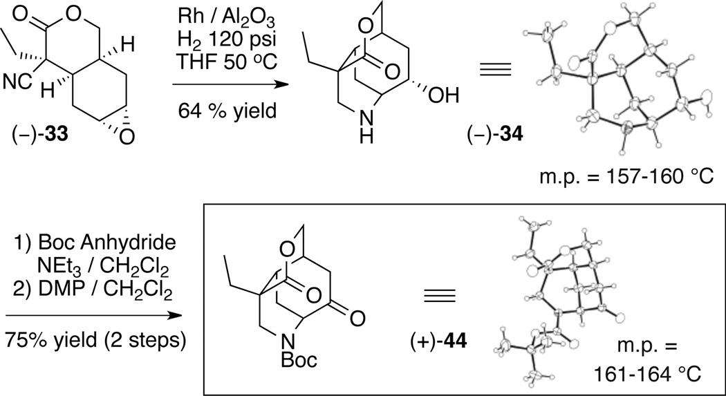 Scheme 3