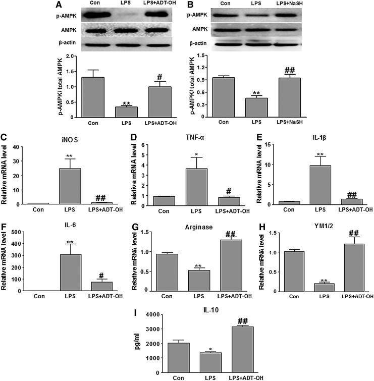 FIG. 10.