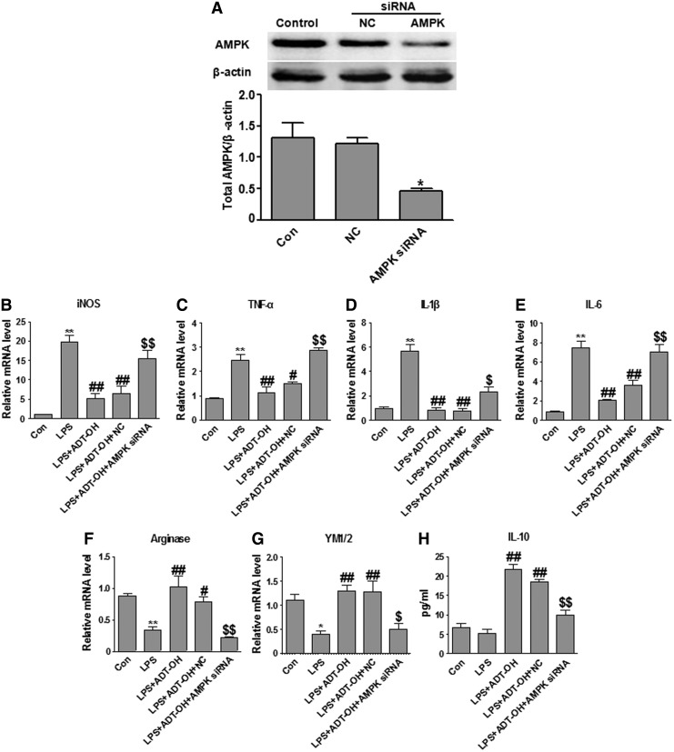 FIG. 5.