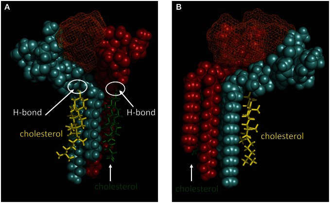 Figure 7