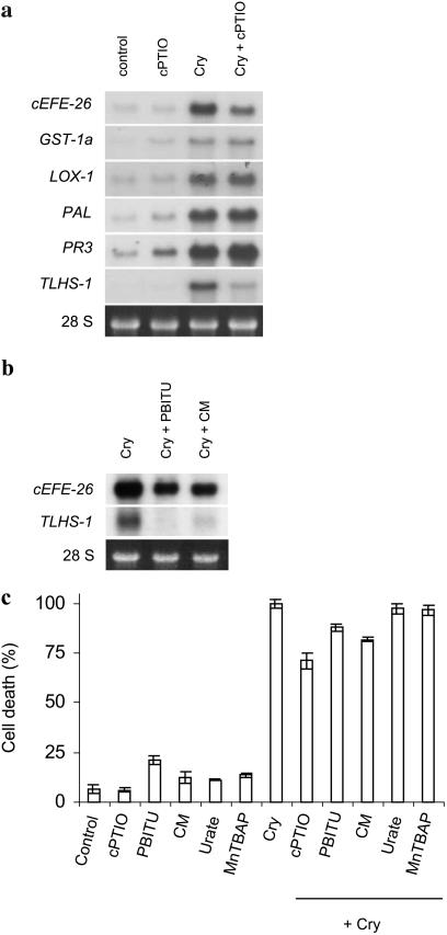 Figure 6.