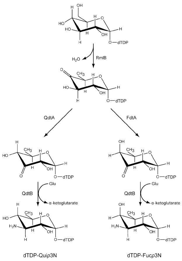 Scheme 3