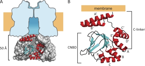 FIGURE 1.