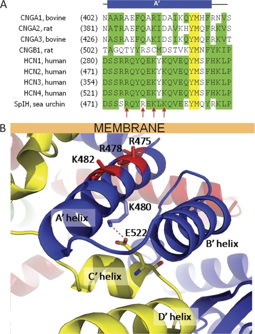 FIGURE 5.