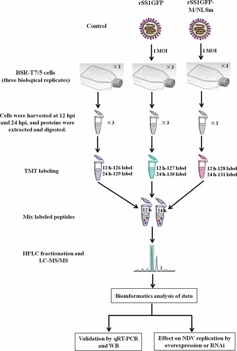 Figure 2.