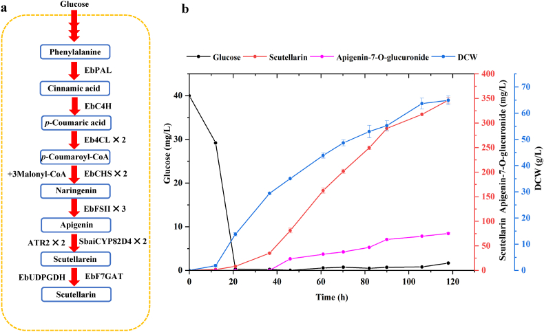 Fig. 4