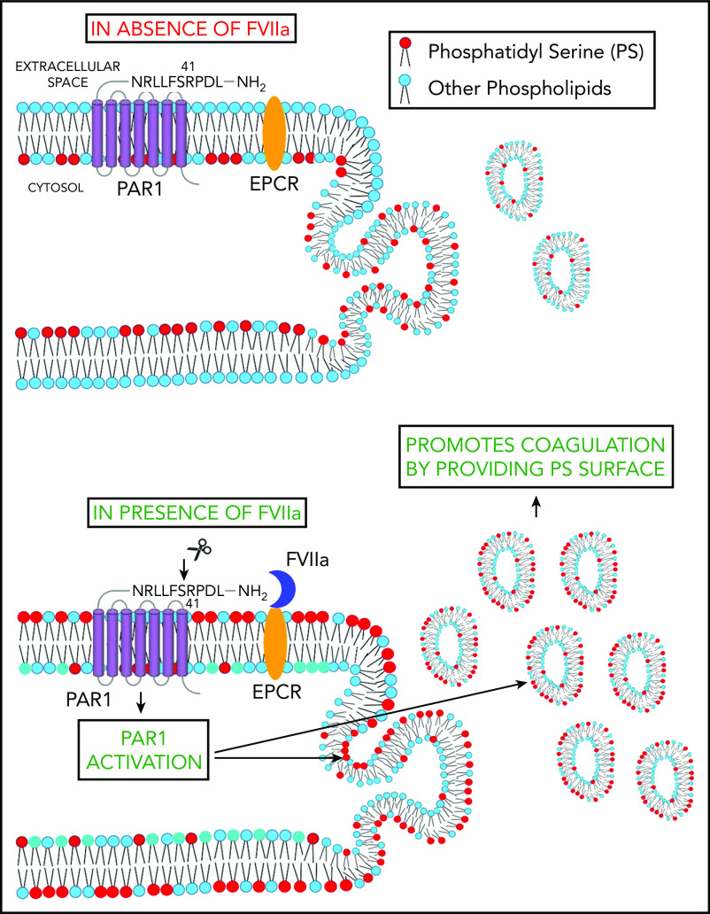 Figure 7.