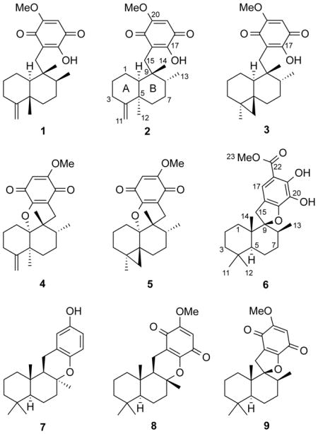 graphic file with name nihms488443u1.jpg