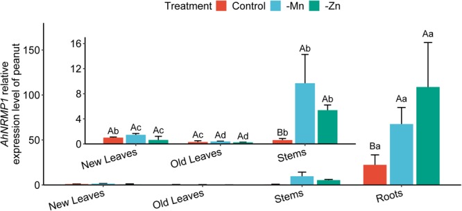 FIGURE 1