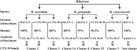 Figure 3.