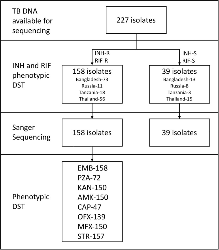 Fig 1