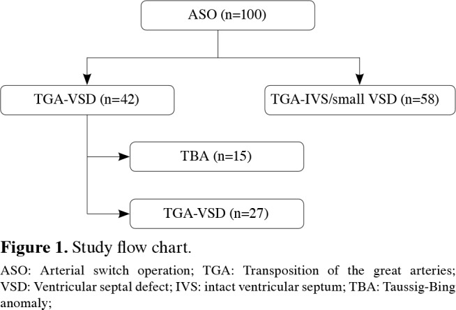 Outcomes of arterial switch operation for Taussig-Bing anomaly versus ...