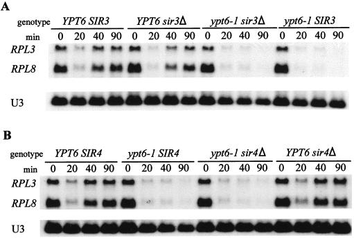 FIG. 7