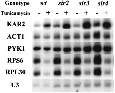 FIG. 6