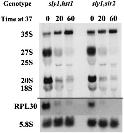 FIG. 8