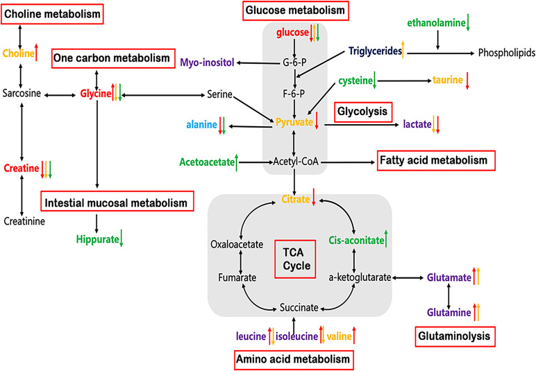 Figure 6