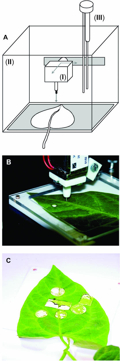 Figure 2.