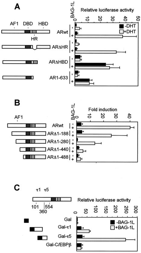 FIG. 1.