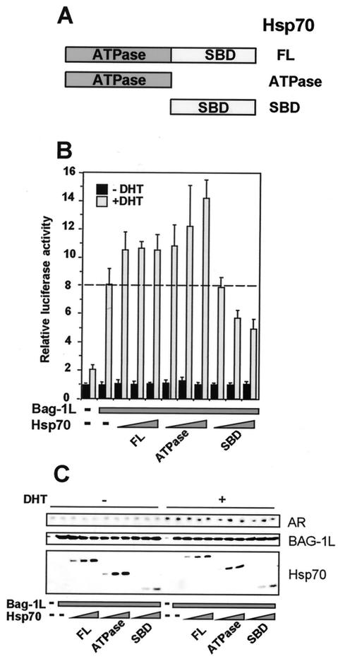 FIG. 5.