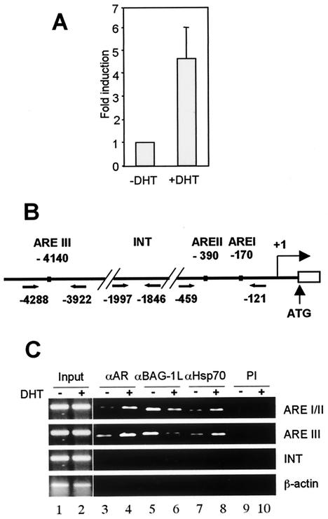 FIG. 6.