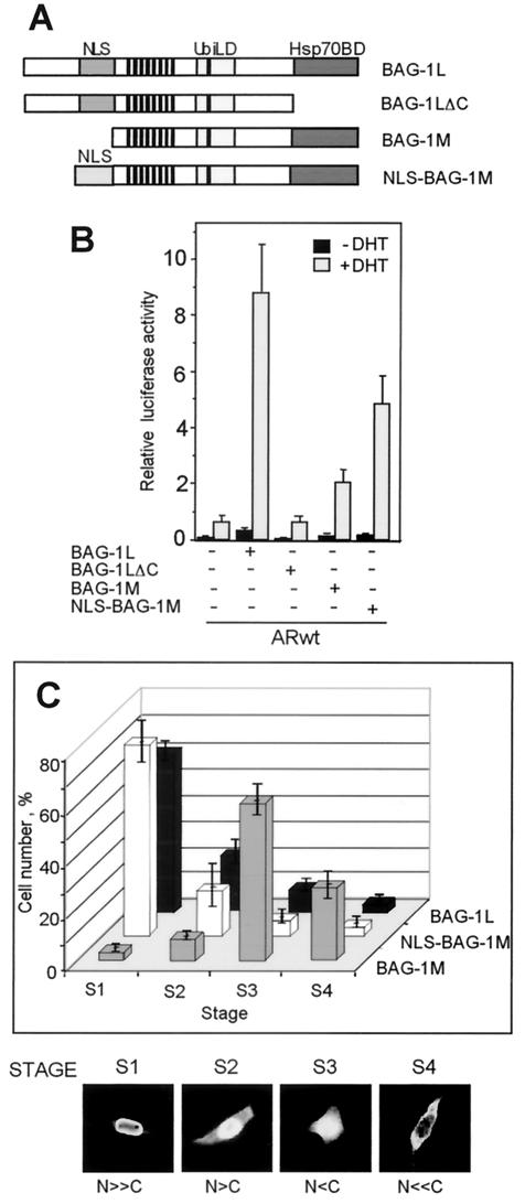 FIG. 2.