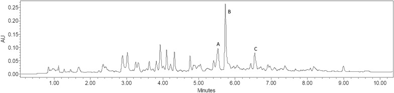 Fig. 6