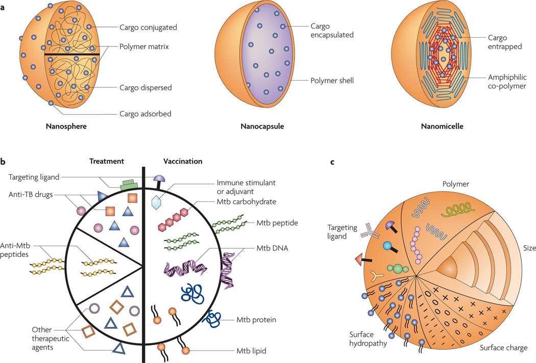 Figure 2 |