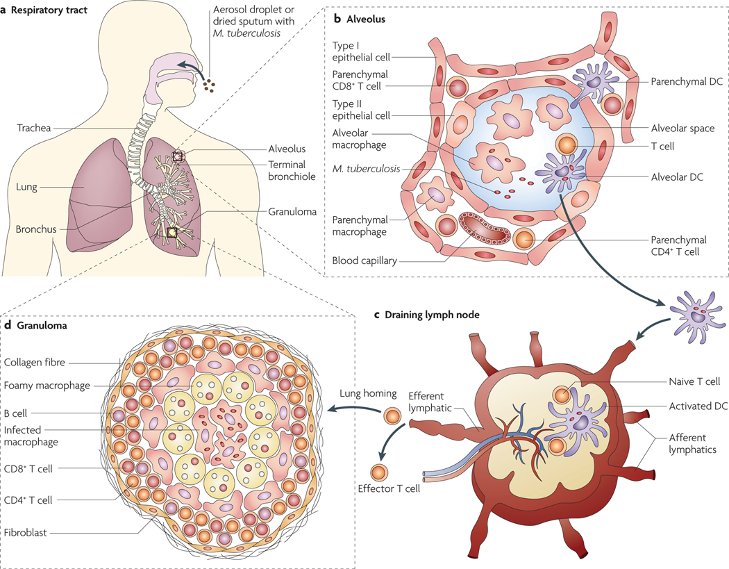 Figure 1 |