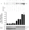 Fig 1.