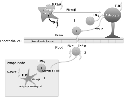 Figure 7.