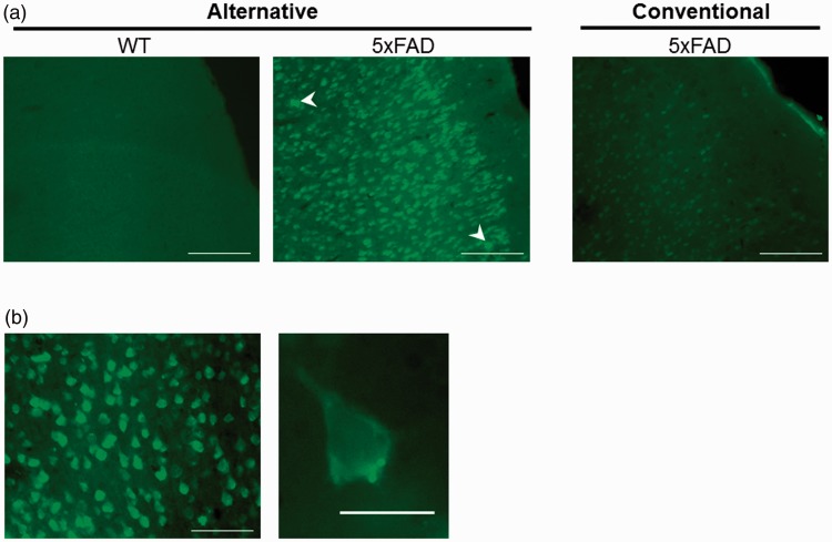 Figure 1.