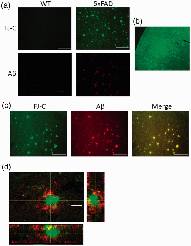 Figure 3.