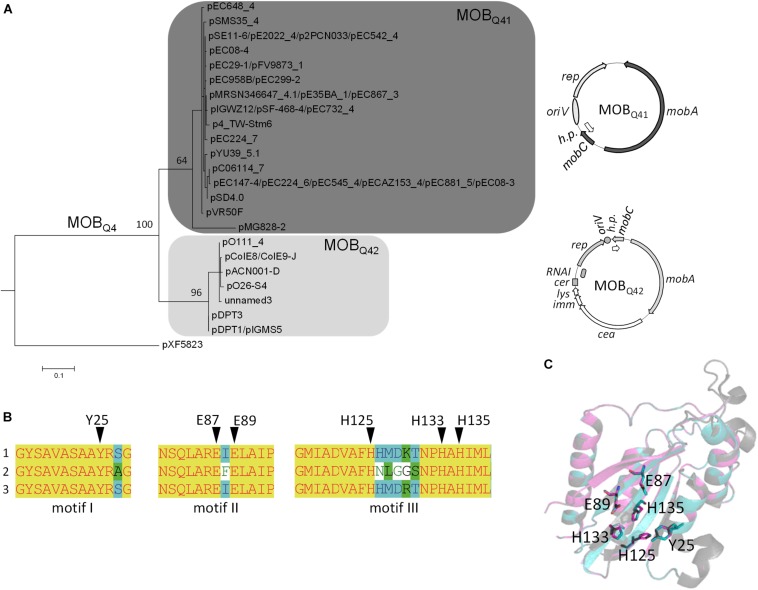 FIGURE 3