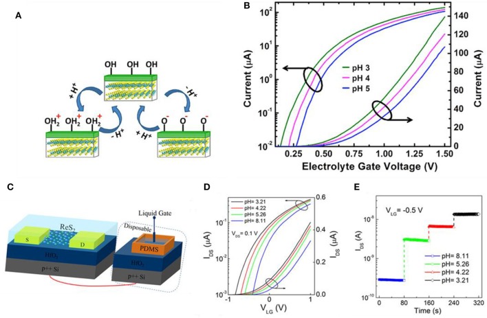 Figure 4