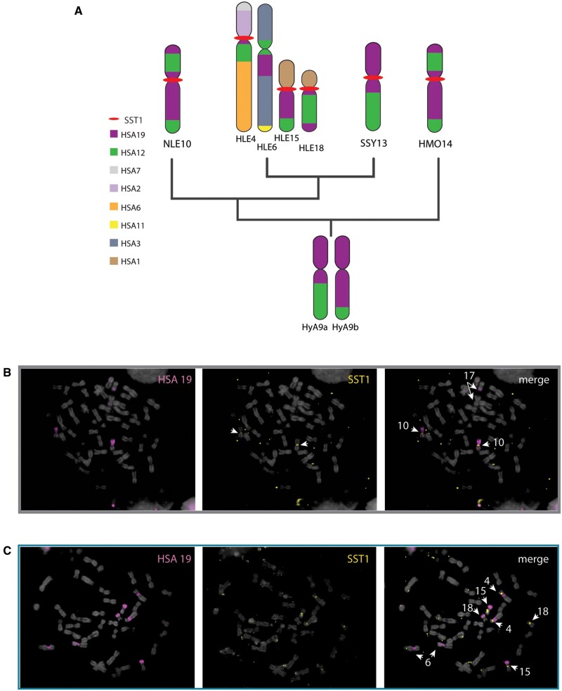 Fig. 6.