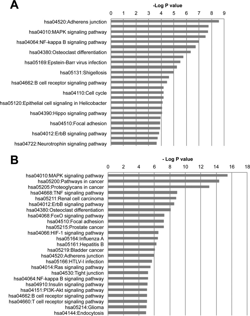 FIG 2