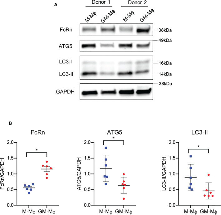 Figure 4