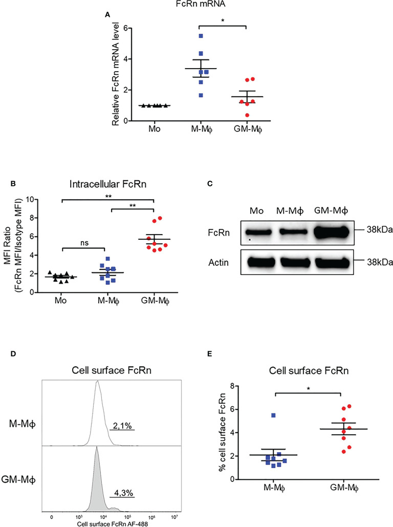 Figure 2