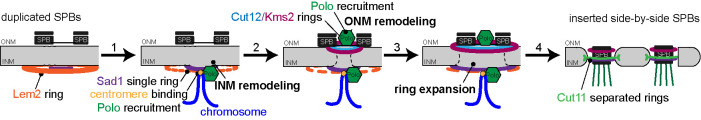 FIGURE 7: