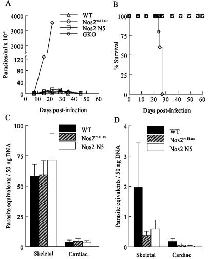 FIG. 4.