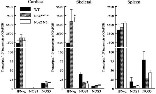 FIG. 7.