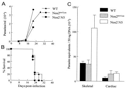 FIG. 5.