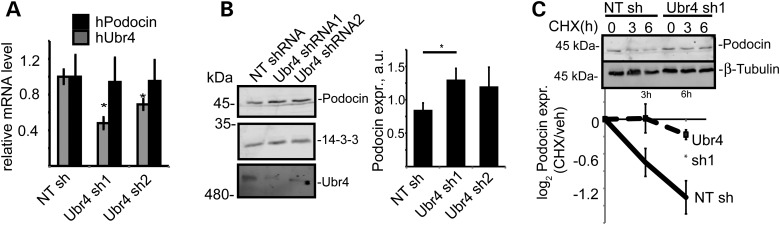 Figure 3.