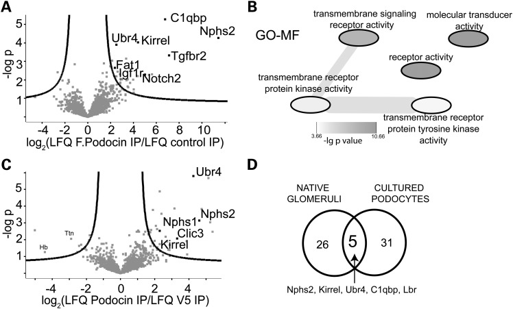 Figure 1.