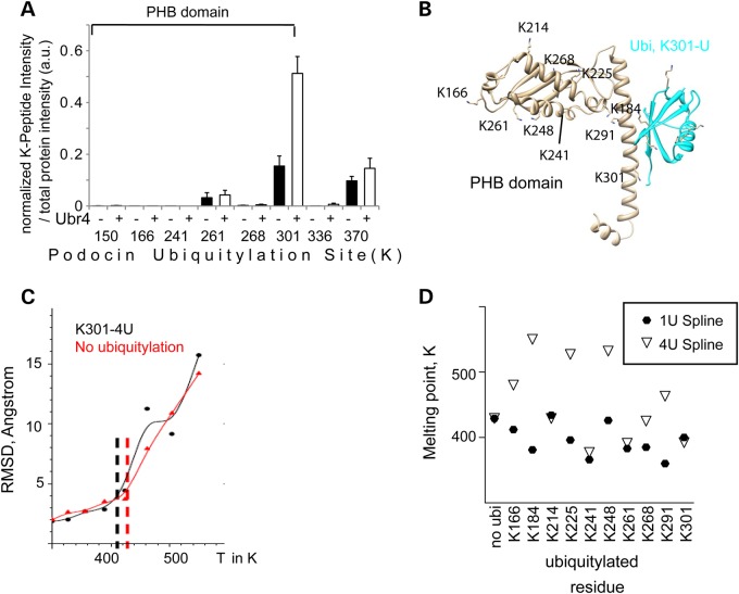 Figure 6.