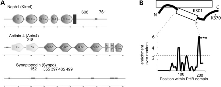 Figure 5.