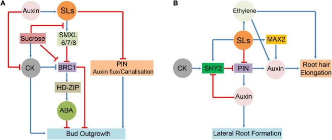 FIGURE 3