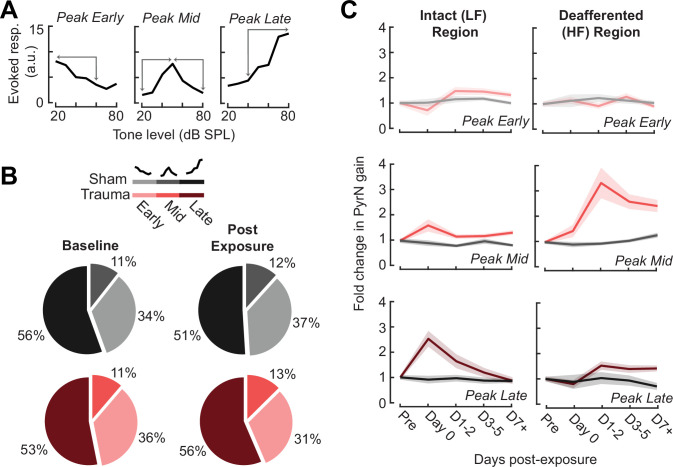 Figure 5—figure supplement 1.